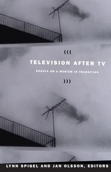 Cover of Television after TV