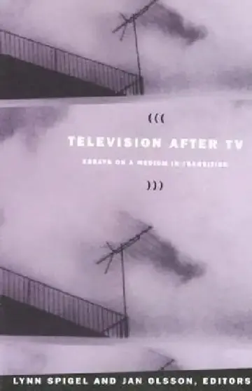 Cover of Television after TV