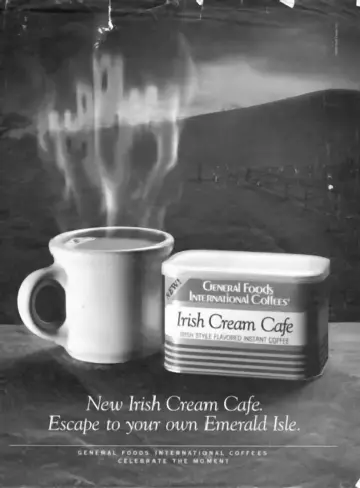 Cover of The Irish in Us