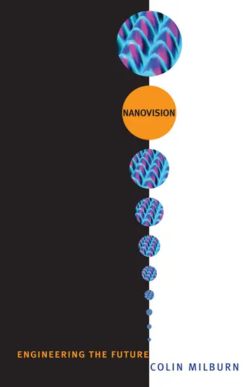 Cover of Nanovision
