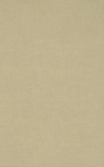 Cover of The Search for the Codex Cardona