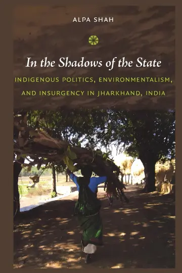 Cover of In the Shadows of the State
