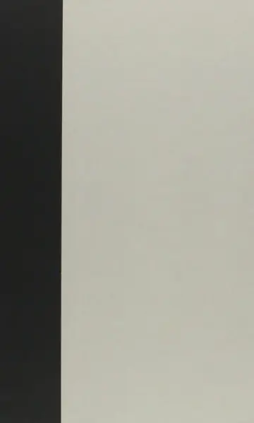 Cover of Darkening Mirrors