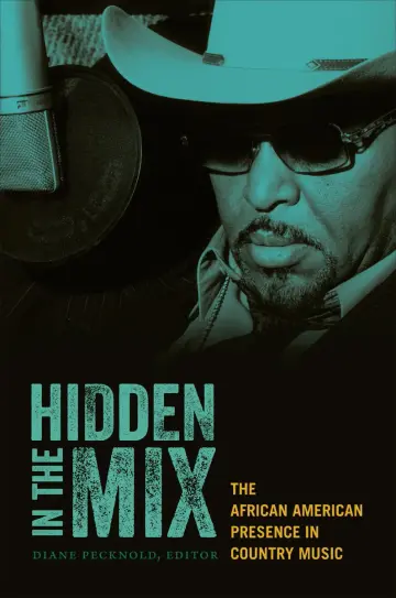 Cover of Hidden in the Mix