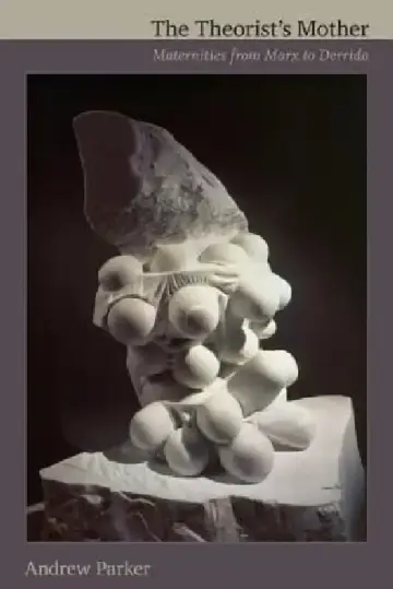 Cover of The Theorist's Mother