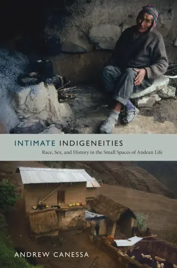 Cover of Intimate Indigeneities