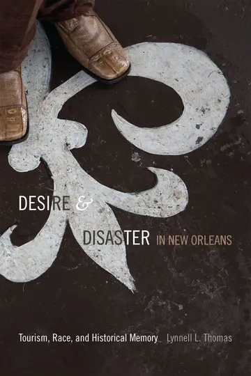 Cover of Desire and Disaster in New Orleans