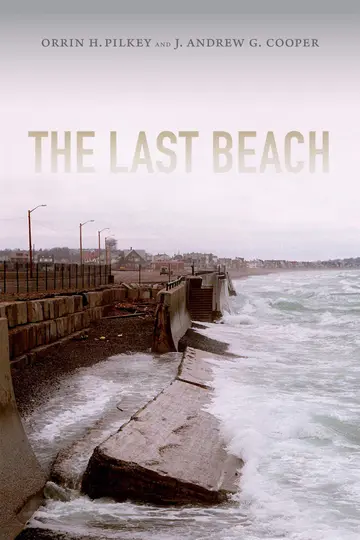 Cover of The Last Beach