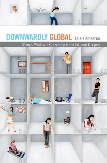 Cover of Downwardly Global