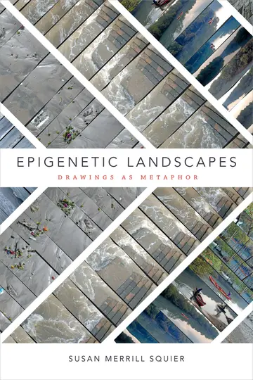 Cover of Epigenetic Landscapes