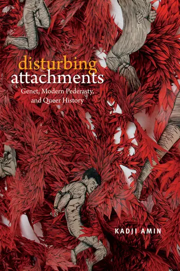 Cover of Disturbing Attachments