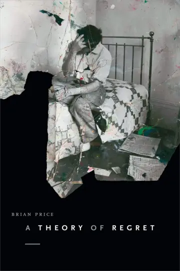 Cover of A Theory of Regret
