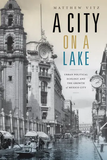 Cover of A City on a Lake