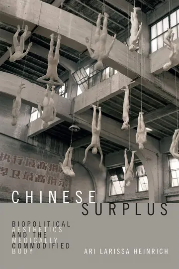Cover of Chinese Surplus