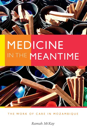 Cover of Medicine in the Meantime