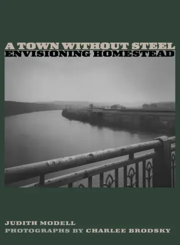 Cover of A Town without Steel