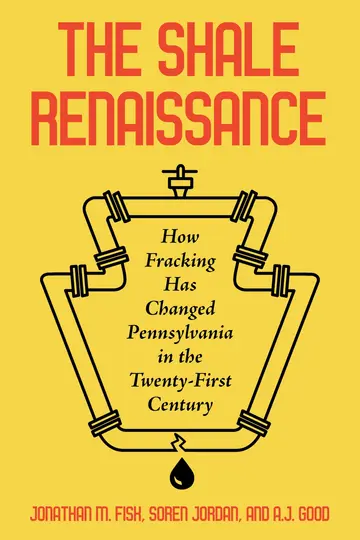 Cover of The Shale Renaissance