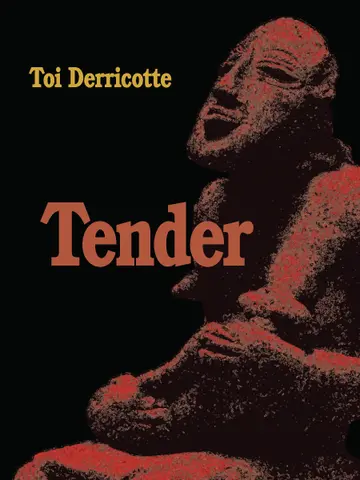 Cover of Tender