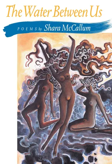 Cover of Water Between Us, the