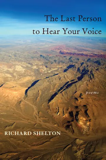 Cover of The Last Person to Hear Your Voice