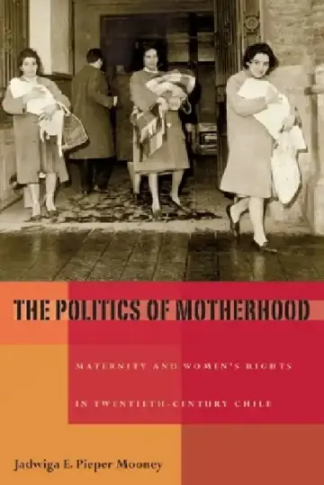 Cover of The Politics of Motherhood
