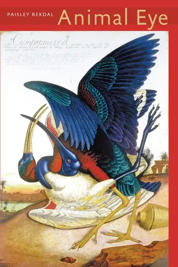 Cover of Animal Eye