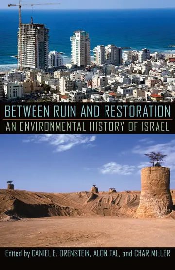 Cover of Between Ruin and Restoration