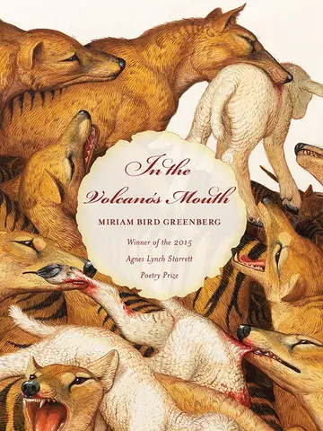 Cover of In the Volcano's Mouth