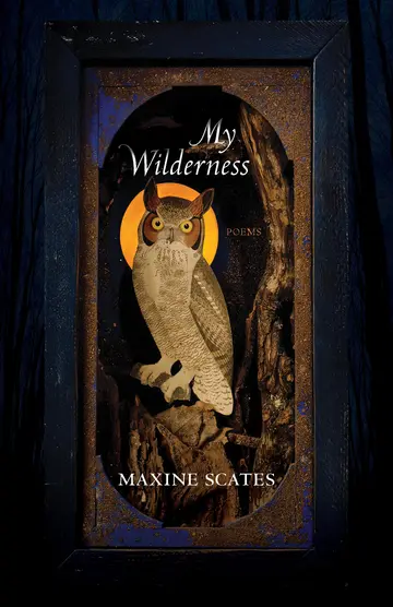 Cover of My Wilderness
