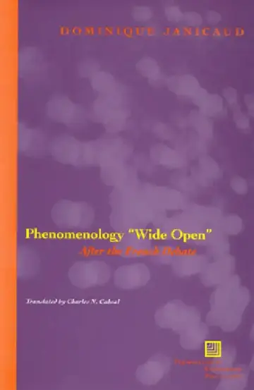 Cover of Phenomenology Wide Open