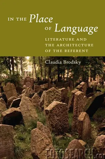 Cover of In the Place of Language