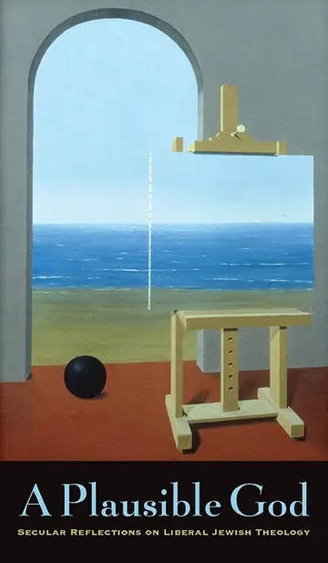 Cover of A Plausible God