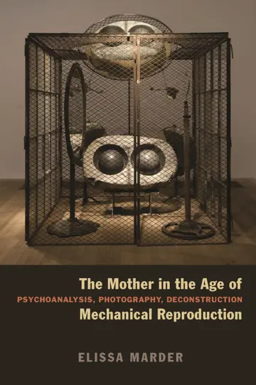 Cover of The Mother in the Age of Mechanical Reproduction