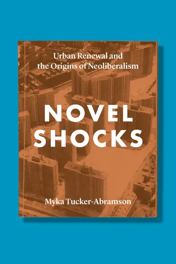 Cover of Novel Shocks