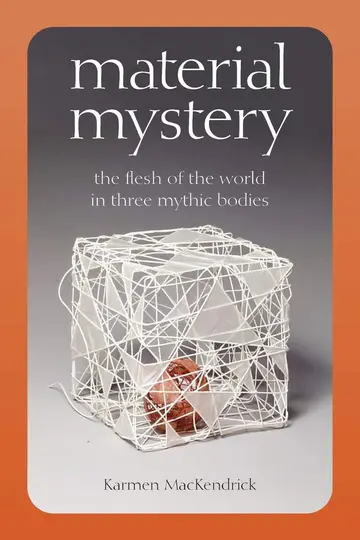 Cover of Material Mystery