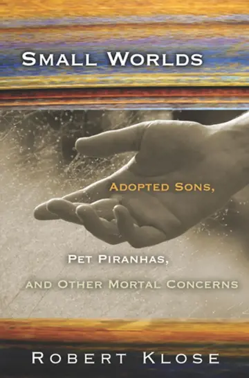 Cover of Small Worlds