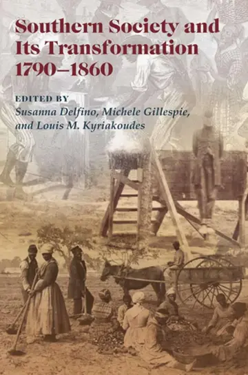 Cover of Southern Society and Its Transformations