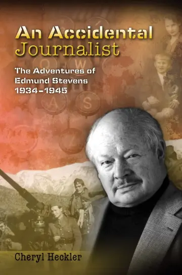 Cover of An Accidental Journalist