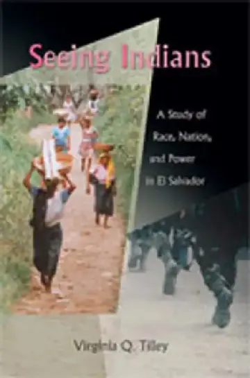 Cover of Seeing Indians