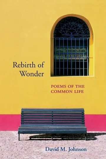 Cover of Rebirth of Wonder