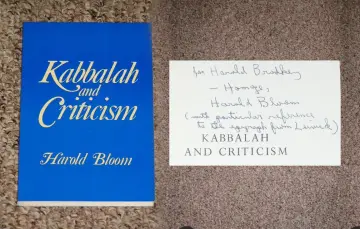 Cover of Kabbalah and Criticism