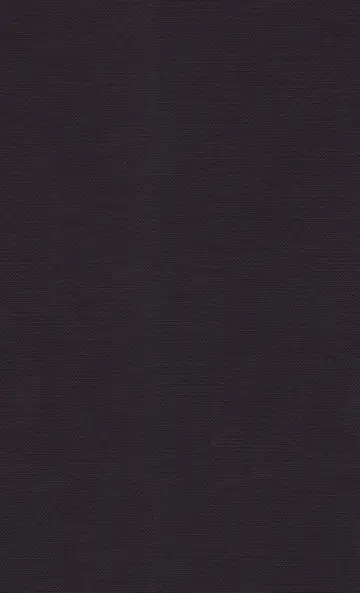 Cover of Jean Baudrillard