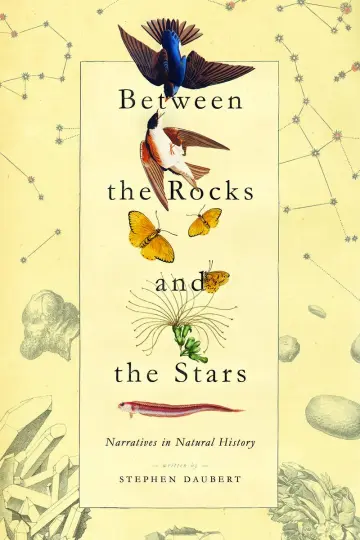 Cover of Between the Rocks and the Stars