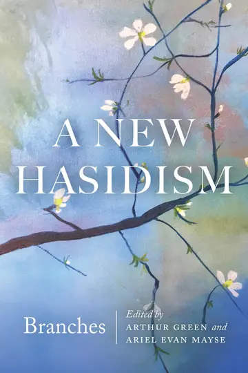 Cover of A New Hasidism