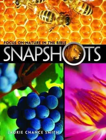 Cover of Snapshots