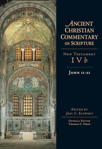 Cover of John 11-21