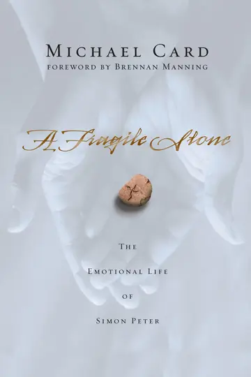Cover of A Fragile Stone