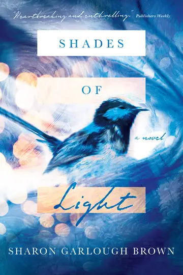 Cover of Shades of Light - A Novel