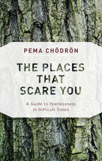 Cover of The Places That Scare You
