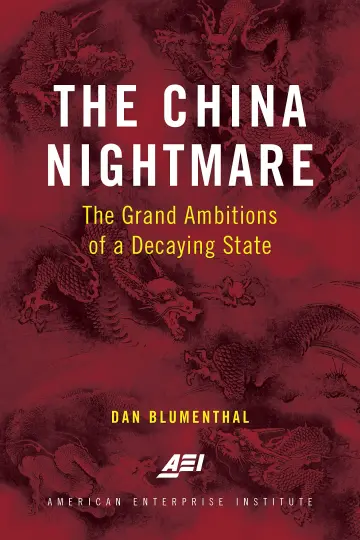 Cover of The China Nightmare